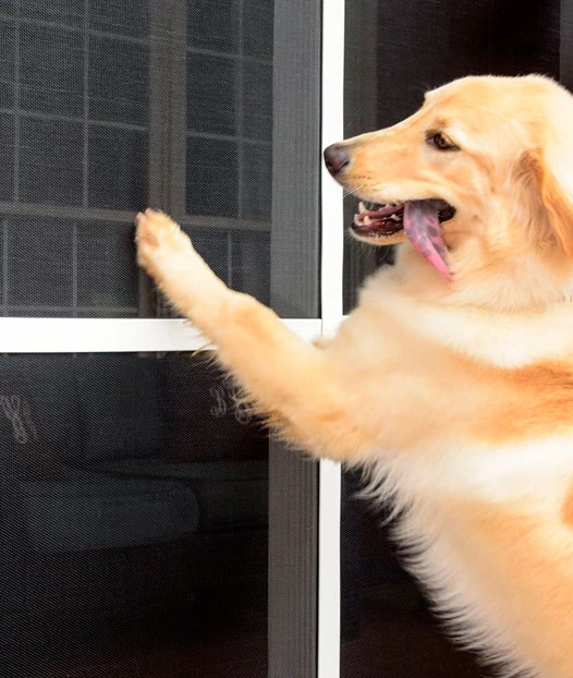 front door screen for dogs